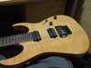 RG8520 1.jpg
